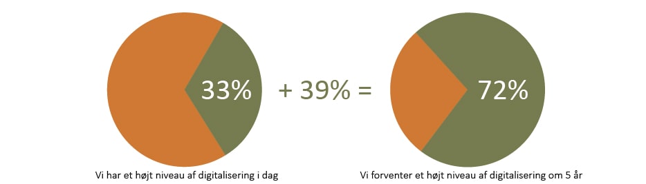 Digitaliseringsniveau
