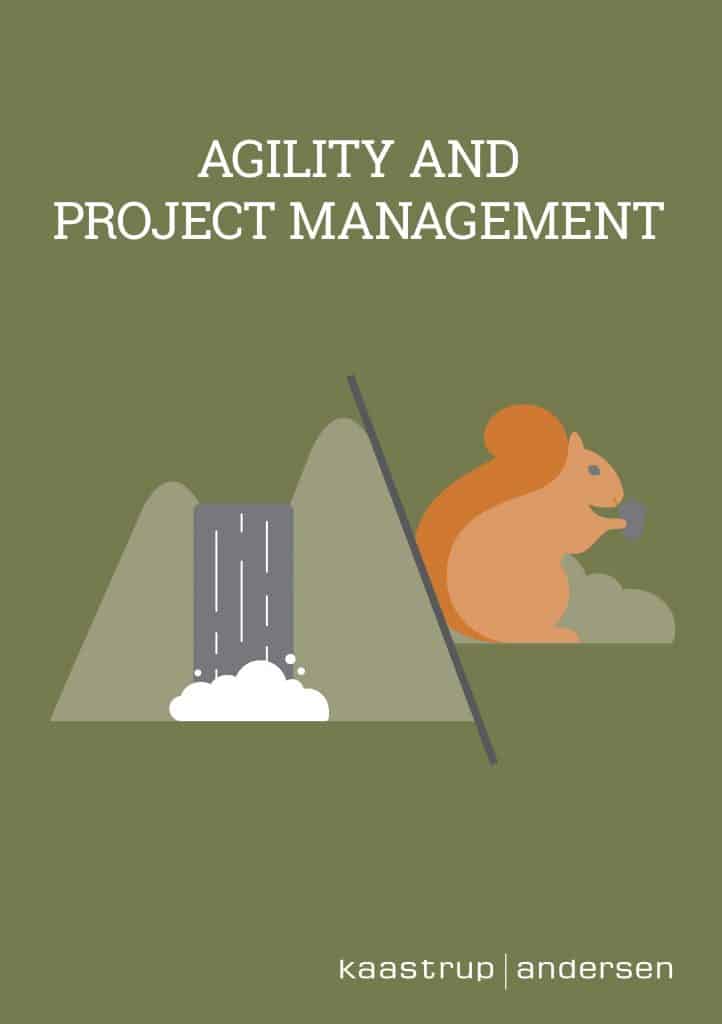 Agility and Project Management