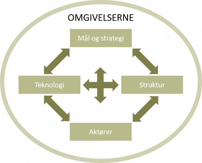 Carveout - Leavitts model