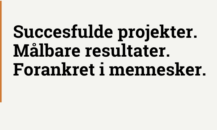 Succesfulde projekter. Målbare resultater. Forankret i mennesker.